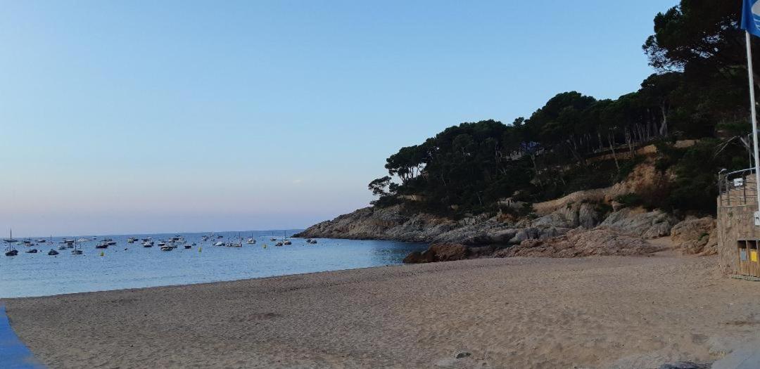 ESTUDIO vistas al mar TAMARIU y bosques de BEGUR - Housity