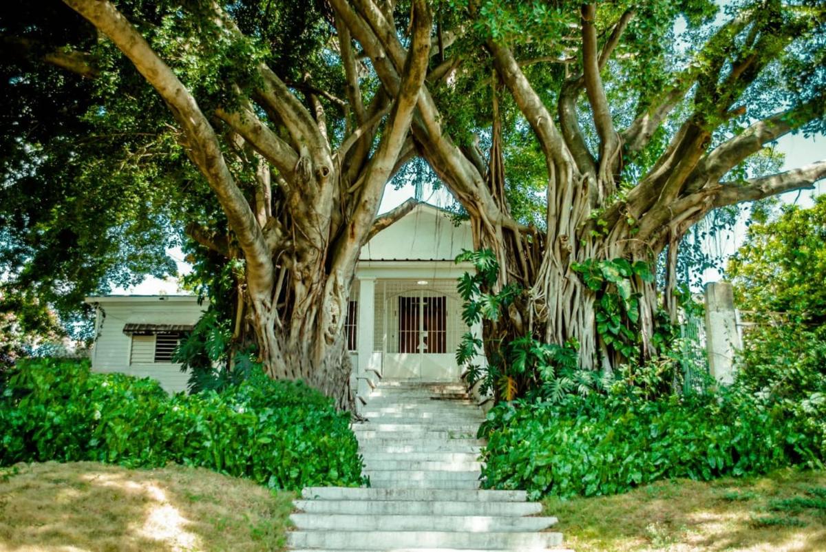 Villa Carolina Bed and Breakfast - Housity