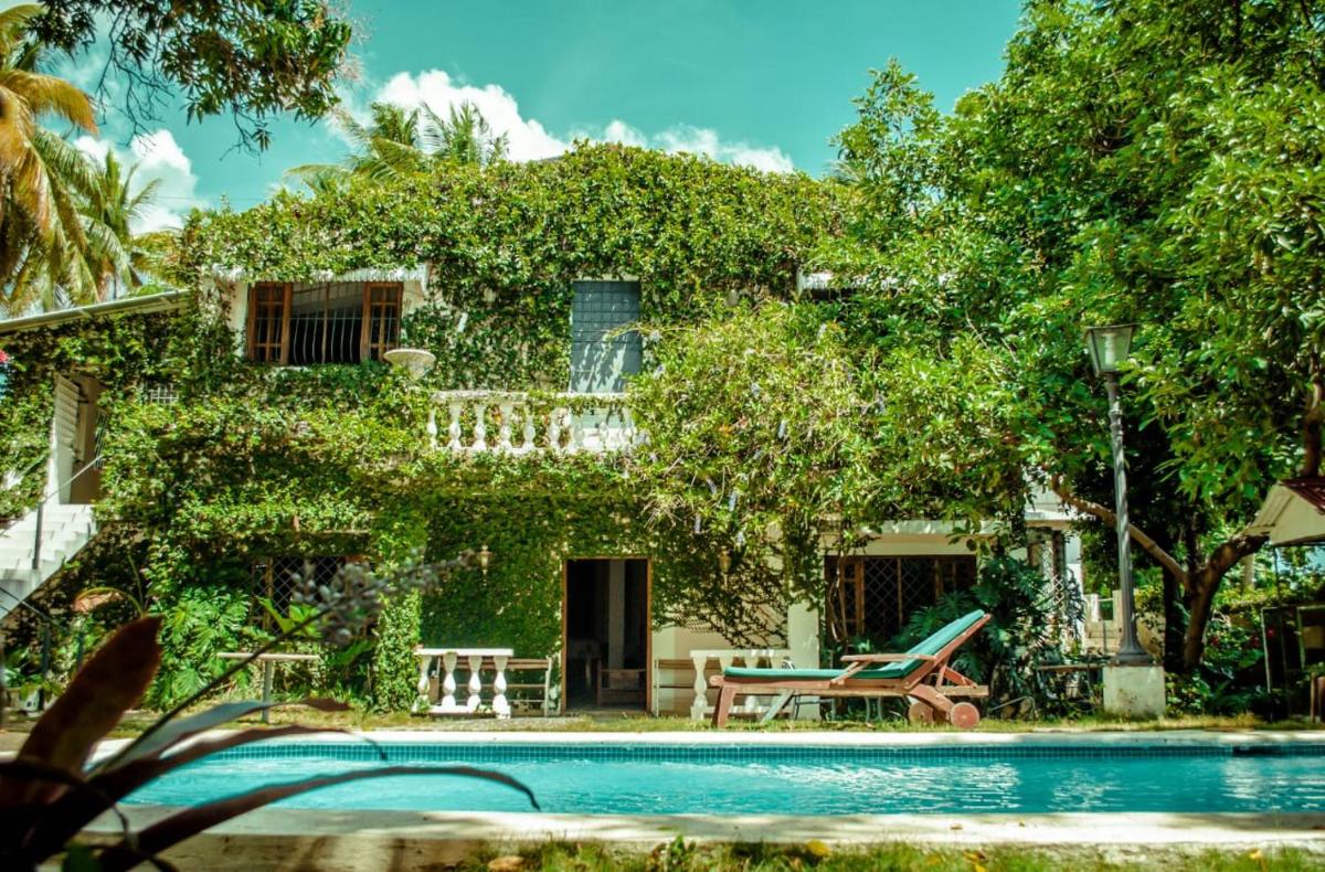 Villa Carolina Bed and Breakfast - Housity
