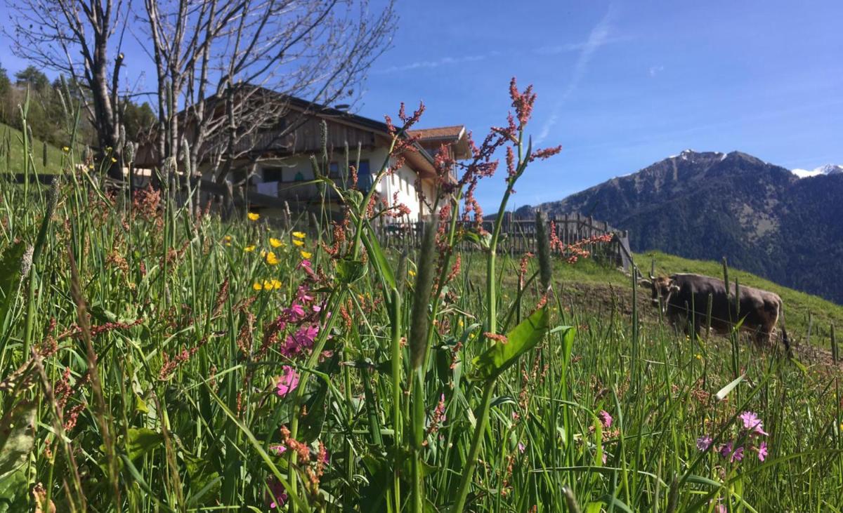 Suitetrails - Knappnhof