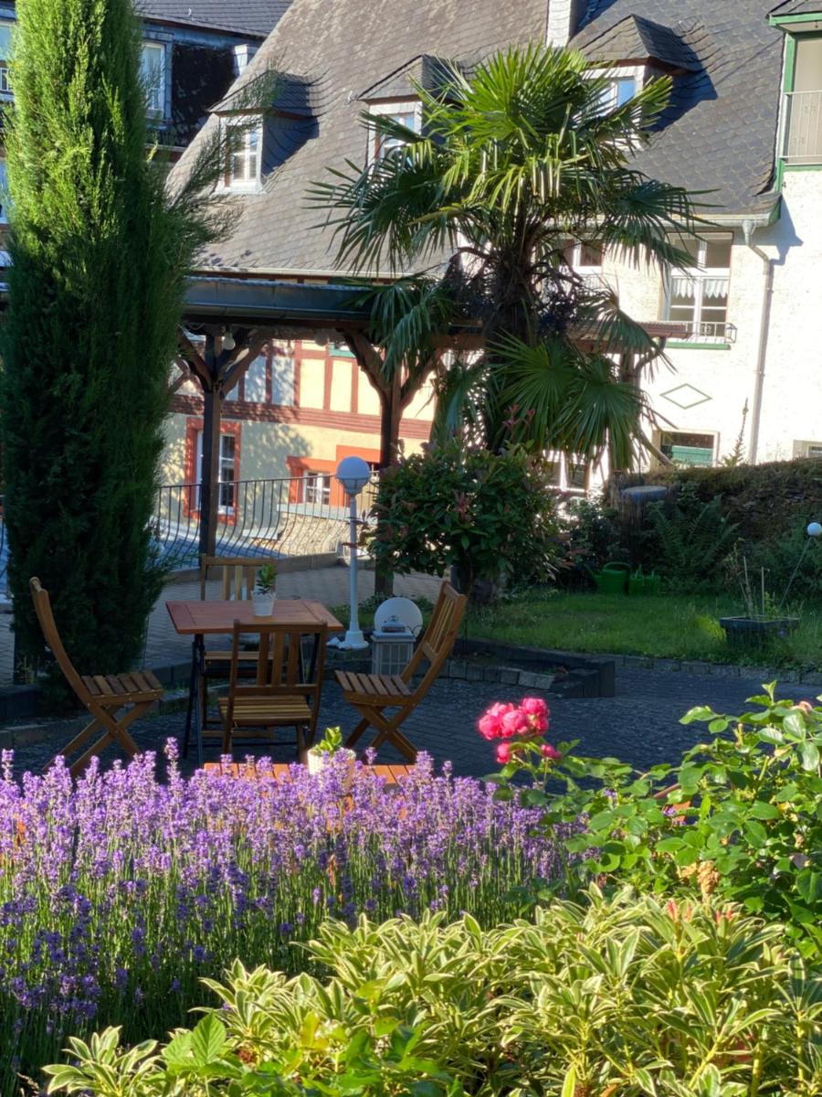 Hotel Springiersbacher-Hof - Housity