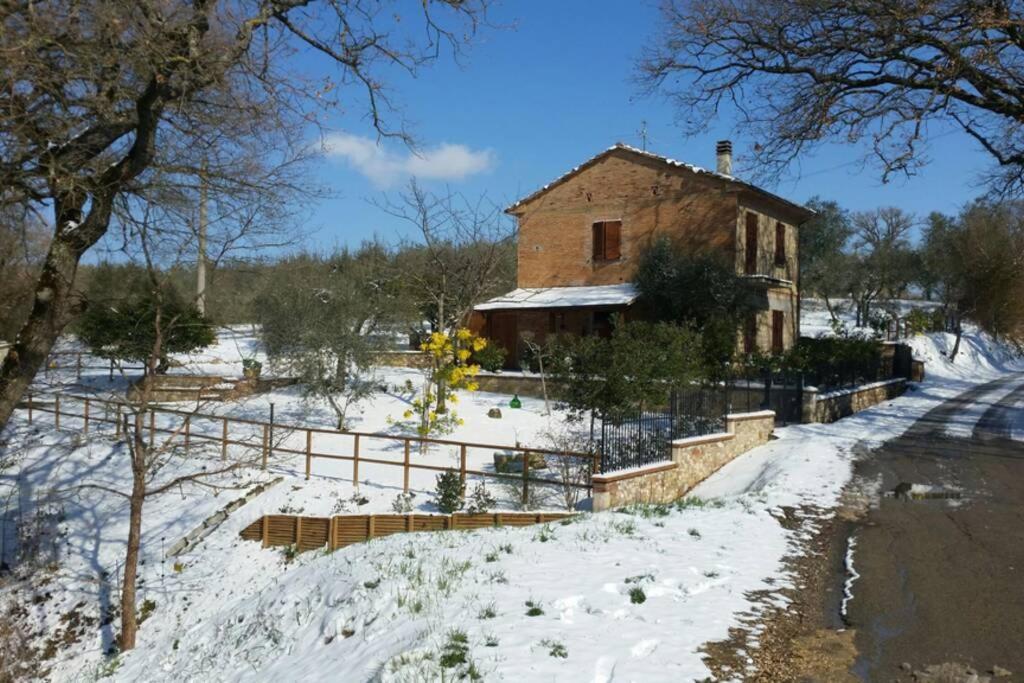 Il Picchio Verde - Housity