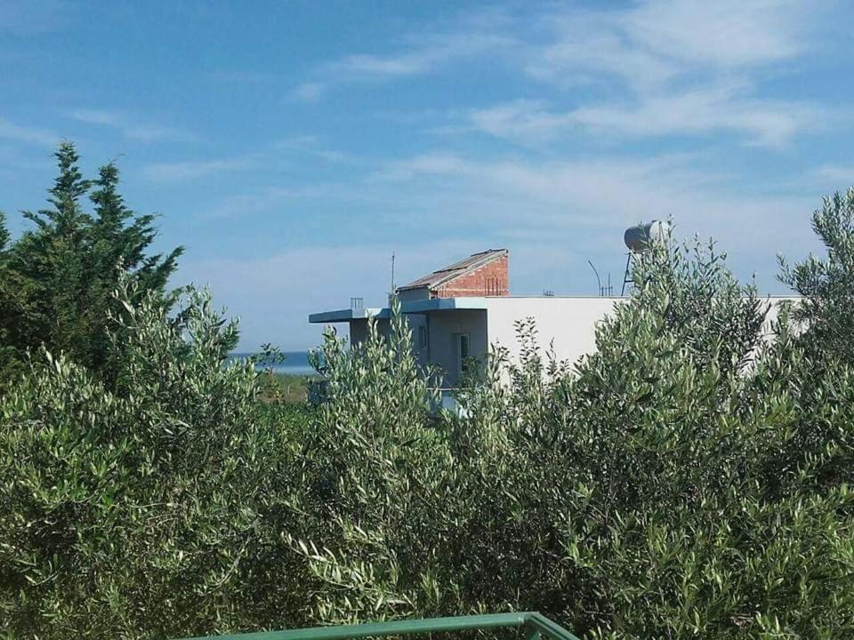 Home to rent-Casa vacanza-Shtepi pushimesh-KONDAJ - Housity