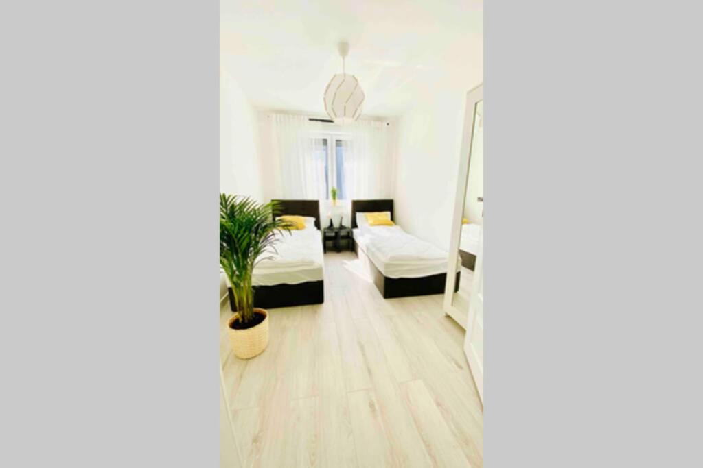Legnica Apartament 53m2 Delux 6 - Housity