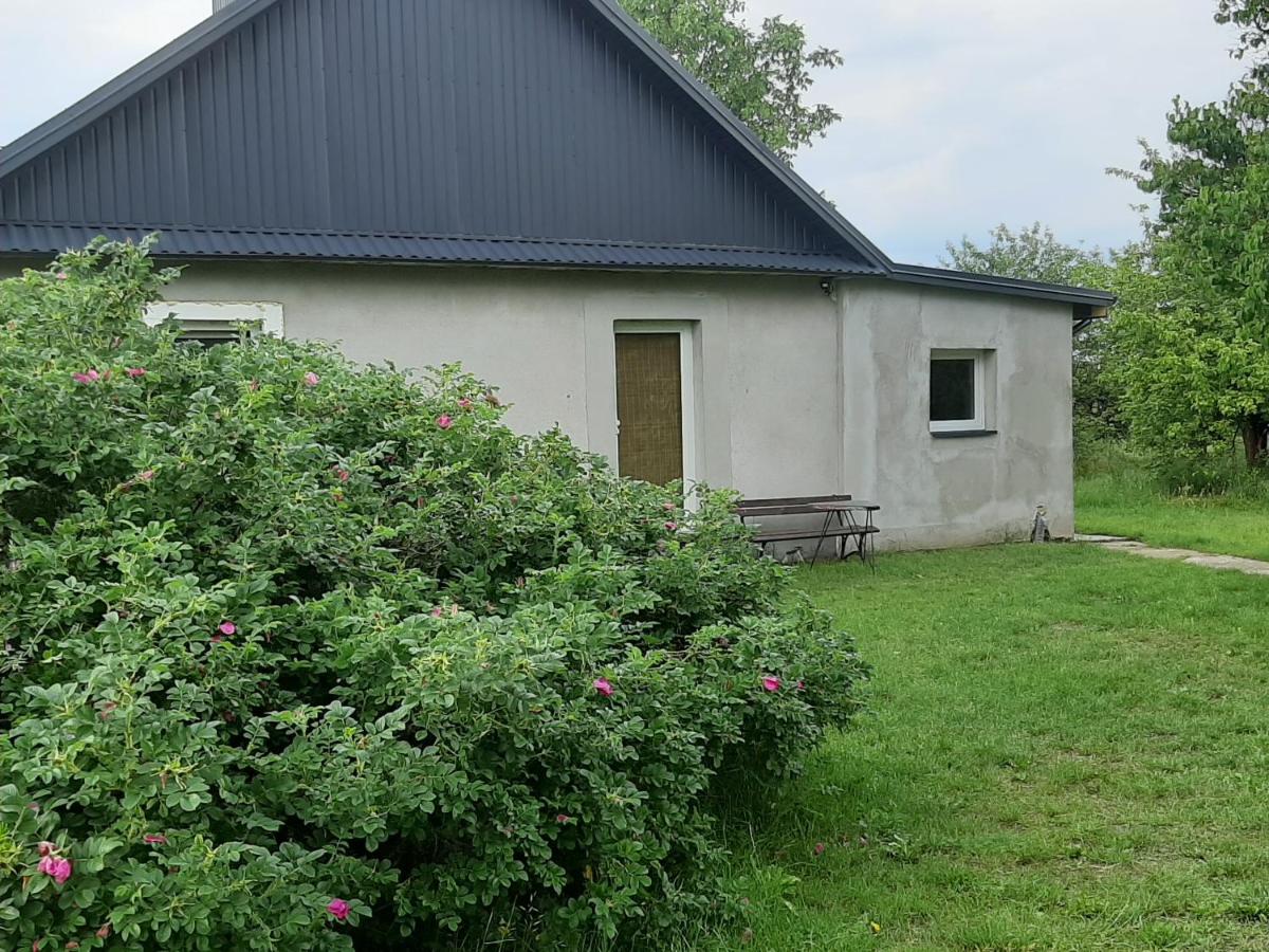 EKOTURYSTYKA W RAJU - Housity