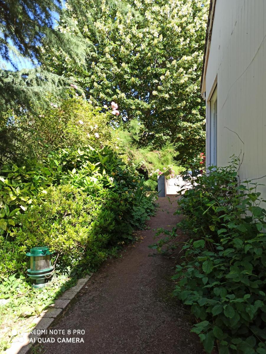 Érable Pourpre - Housity