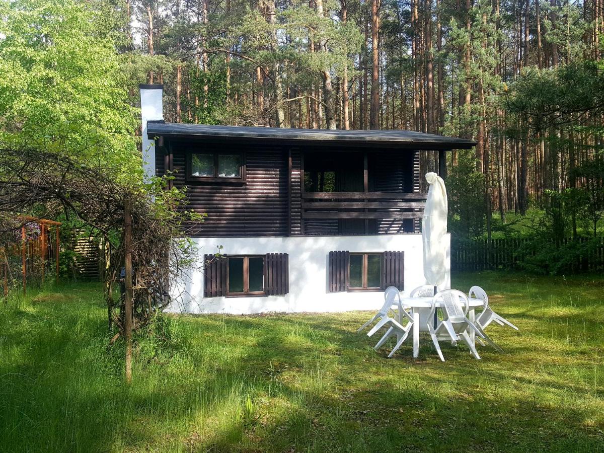 BORY TUCHOLSKIE SKÓRZENNO KOŁO OSIEKA - Housity