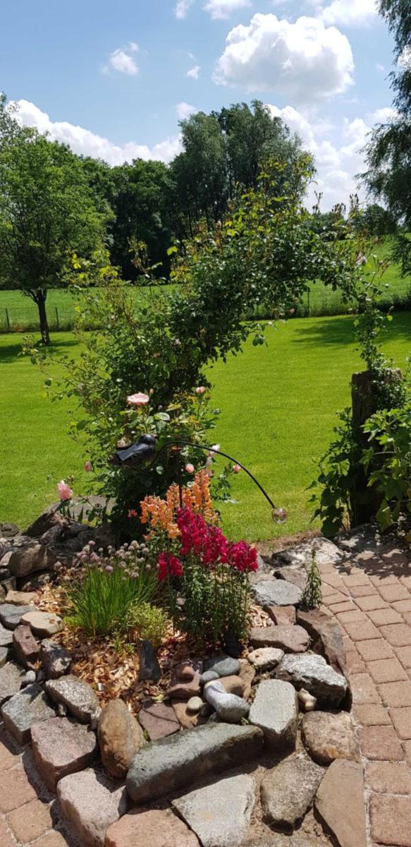 Ferienhäuser an der Schlei - Sauna Natur Kamin - Housity