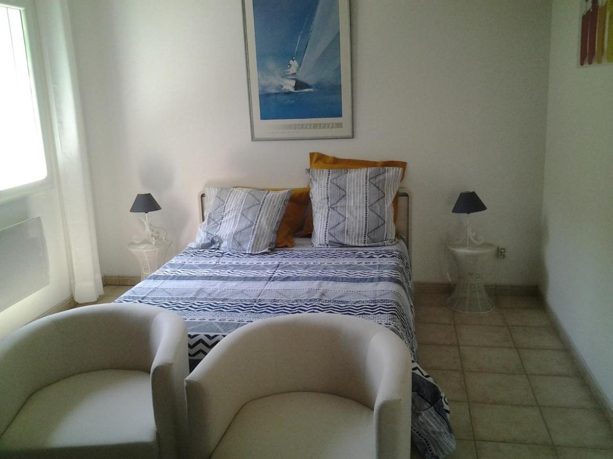 Érable Pourpre - Housity