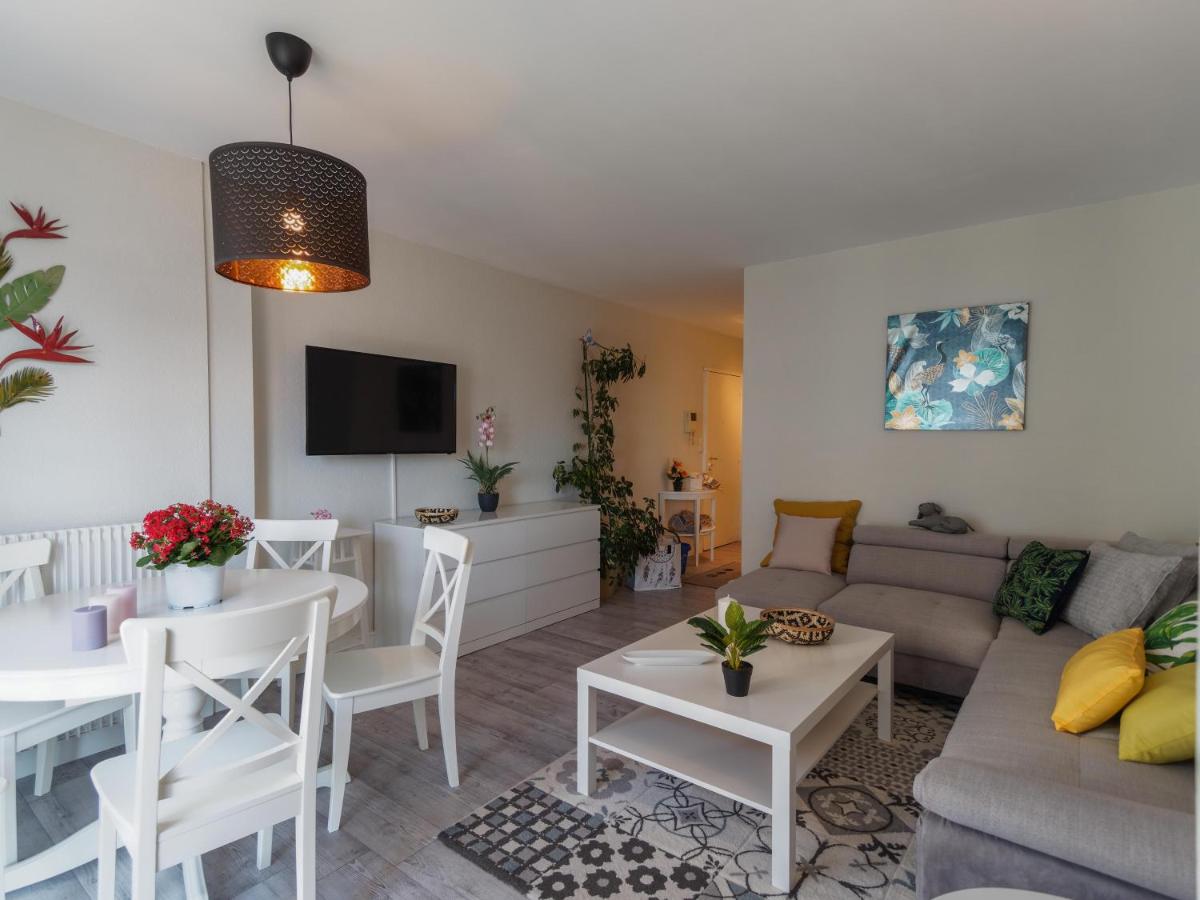 COLMAR SWEET HOME - Hizvo