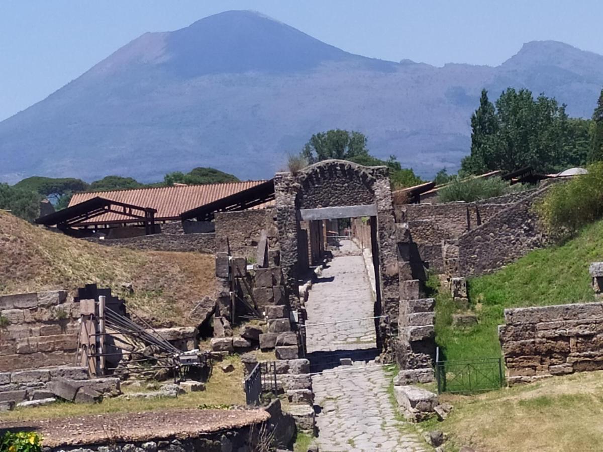 Athena e Calliope House - Housity