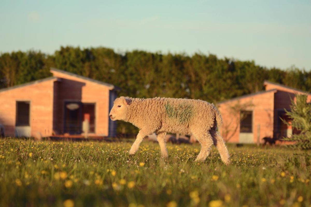 Sunset Lodges at Cotswold Farm Park - Housity