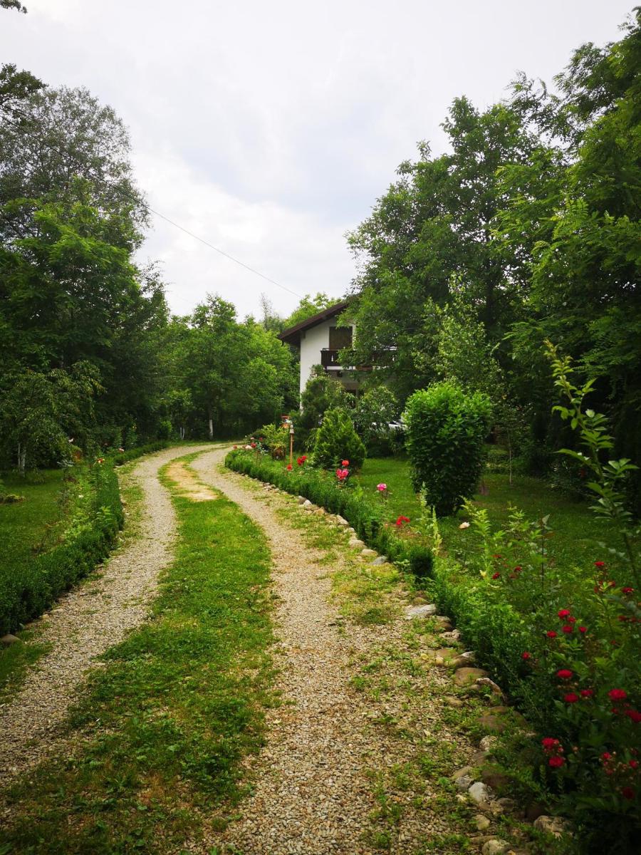 Casa de vacanta - Housity