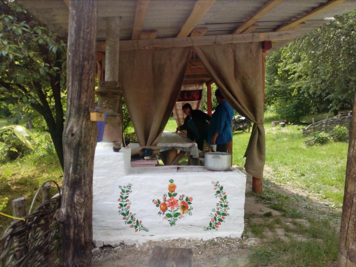 Maliovnytsya - Housity