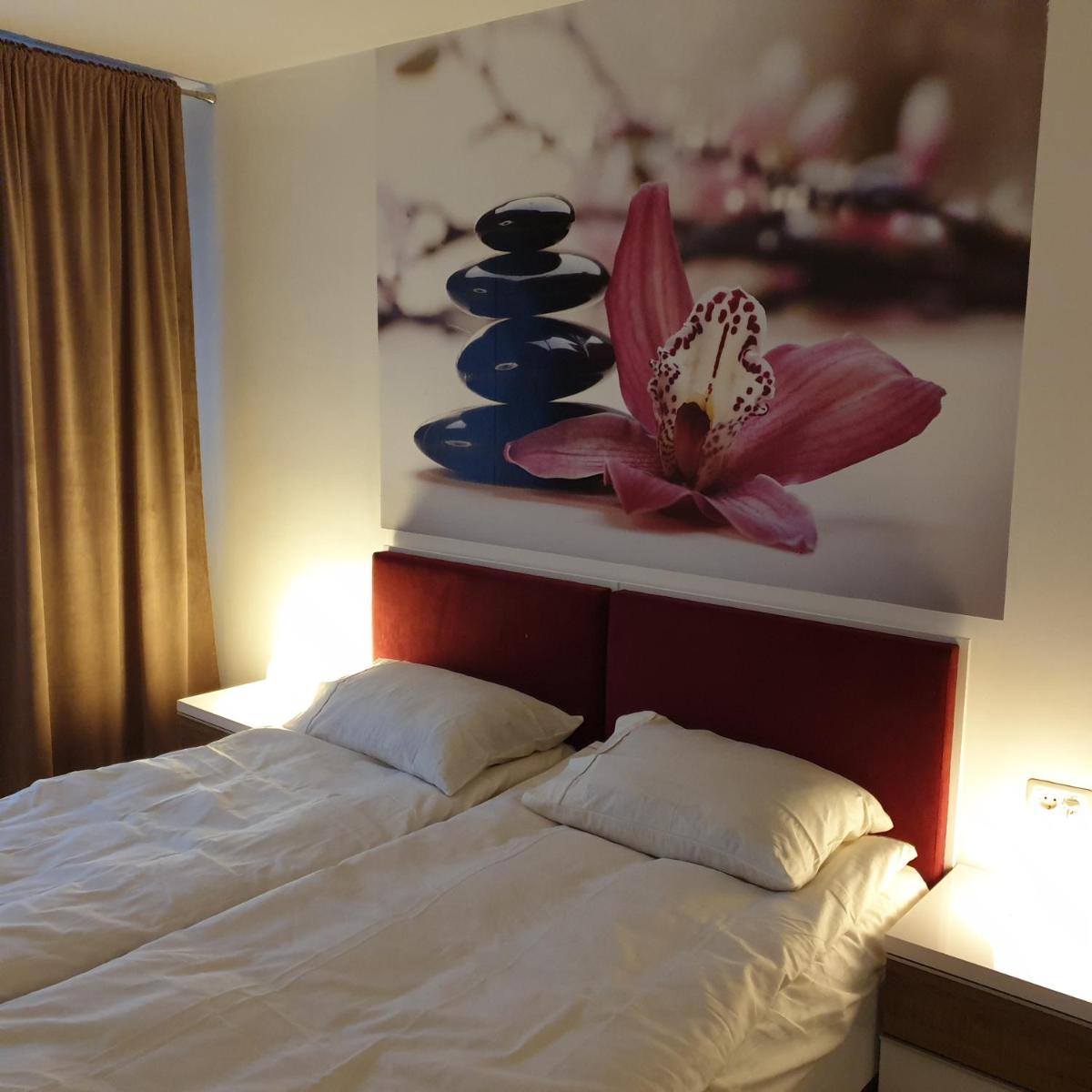 Carolina Sweet Apartament - Housity