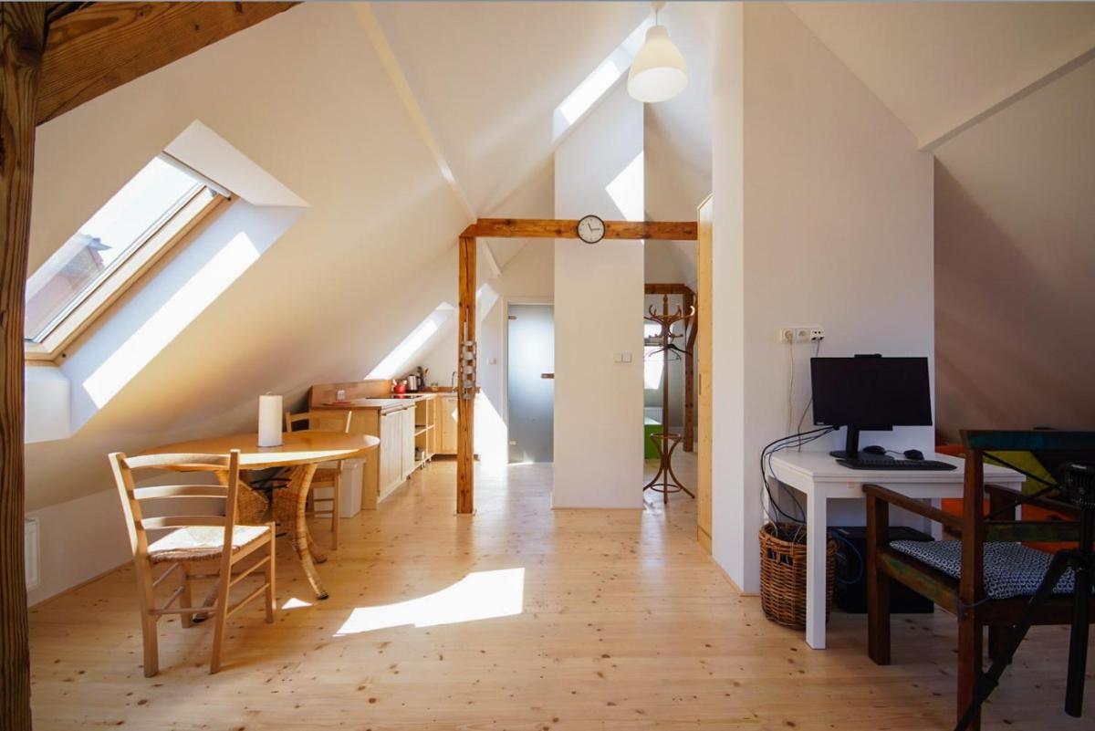Apartmán Národní - Housity