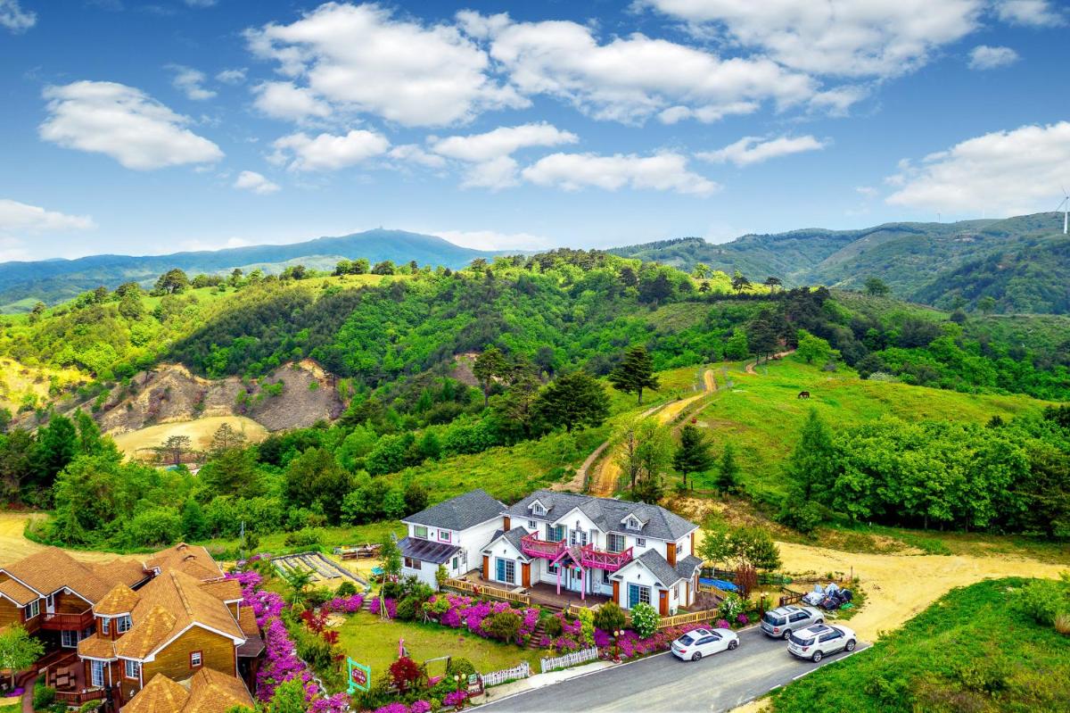 Pungcha & Herb Pension - Housity