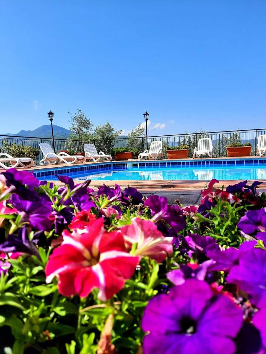 L'Oliveto - Housity