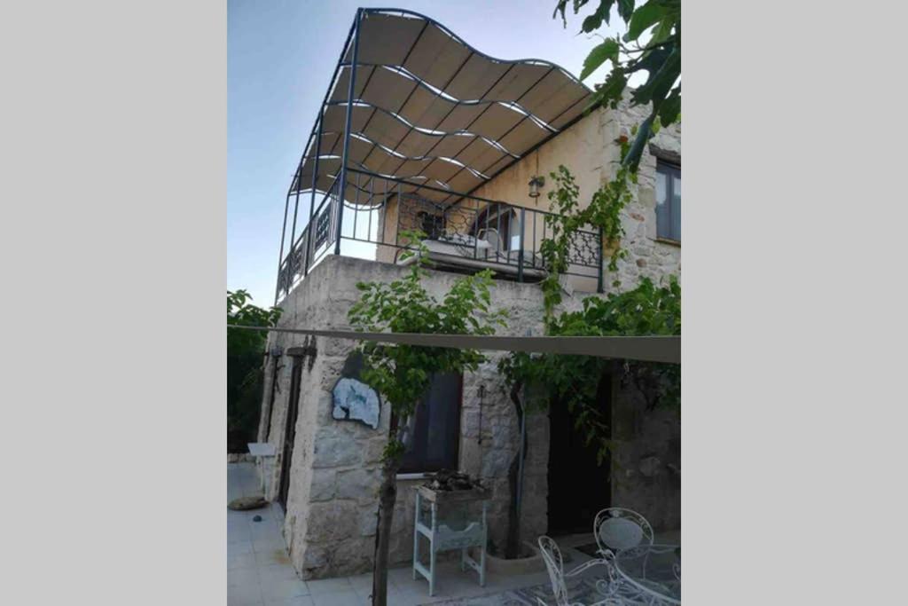 Petite Olive House - Housity