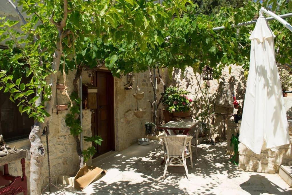 Petite Olive House - Housity