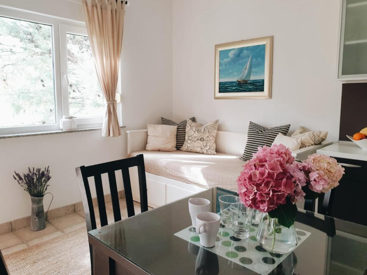 Apartments Paklenica - Housity
