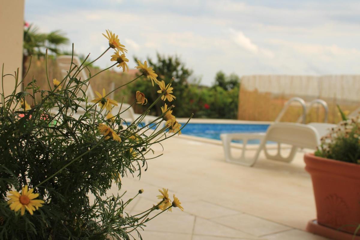 Apartman Robi - Housity