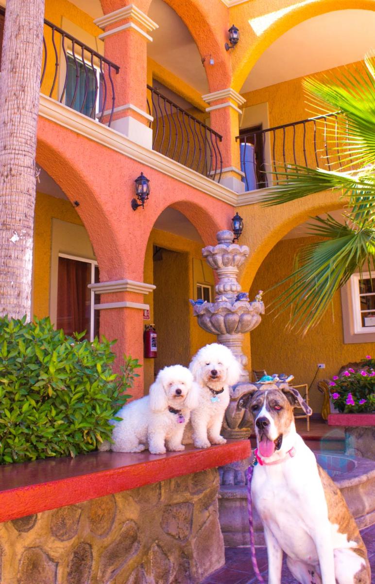 Hotel Angra - Housity