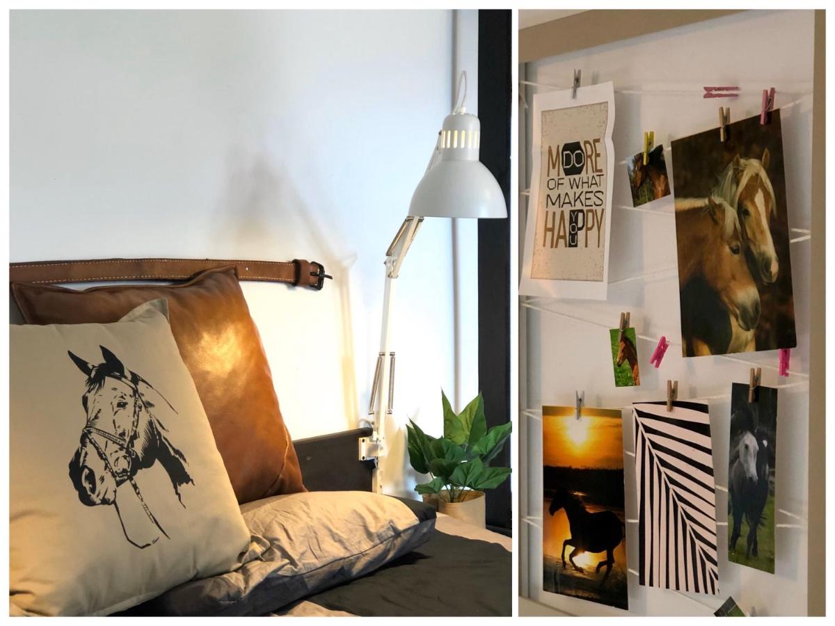 apartamenty lajkonik - Housity