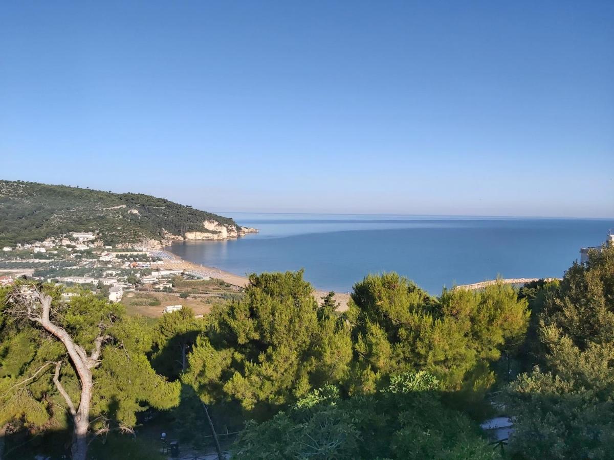 monolocale per le vacanze - Housity