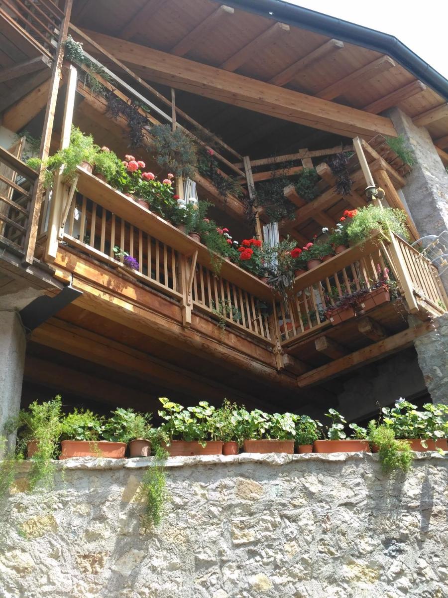 La Cort Di Nonna Rosa - Housity