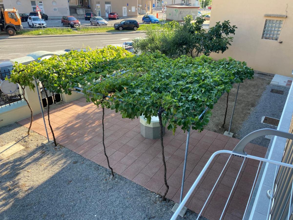 Green House Apartments - Housity