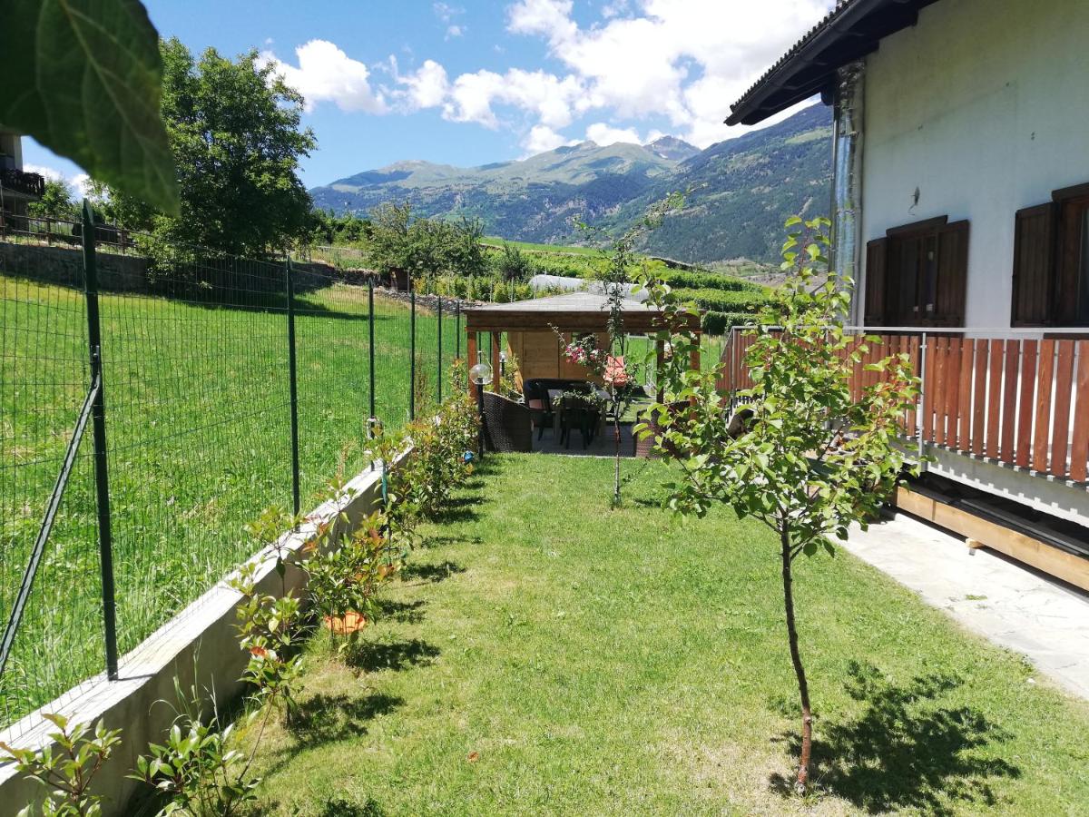 La taverna di Elide - Housity