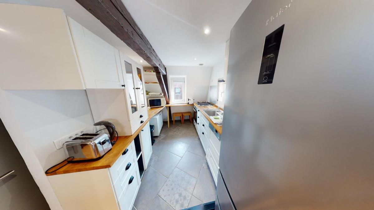 Spacious duplex city center Strasbourg - Housity