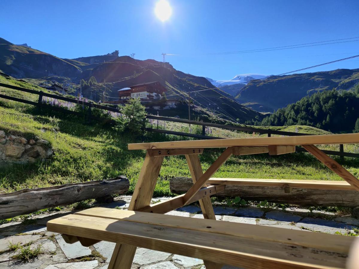 Skichalet Cervinia BASSI - Housity