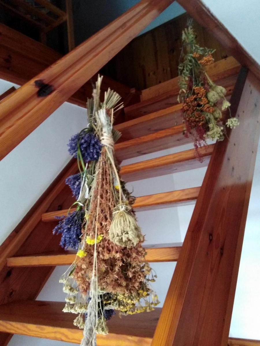 Agroturystyka U Iwonki - Housity