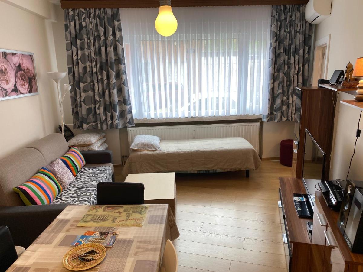 One-bedroom Apartment near Atomium - Hizvo