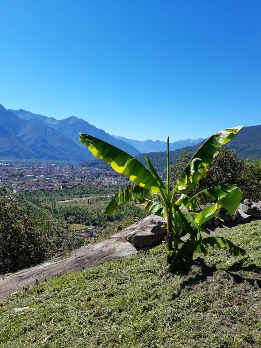 Ossola dal Monte - Affittacamere - Housity
