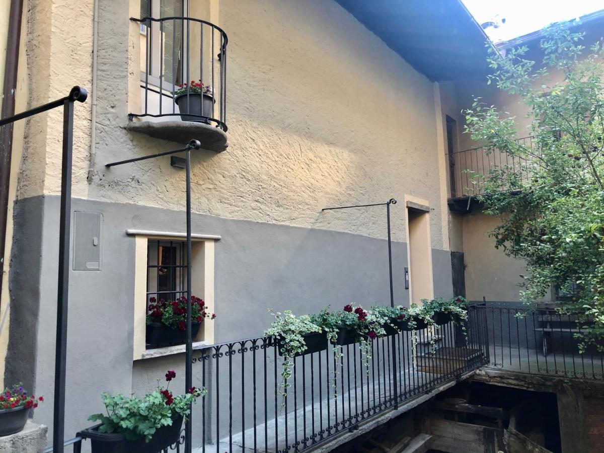 Domus Apartments - Hizvo