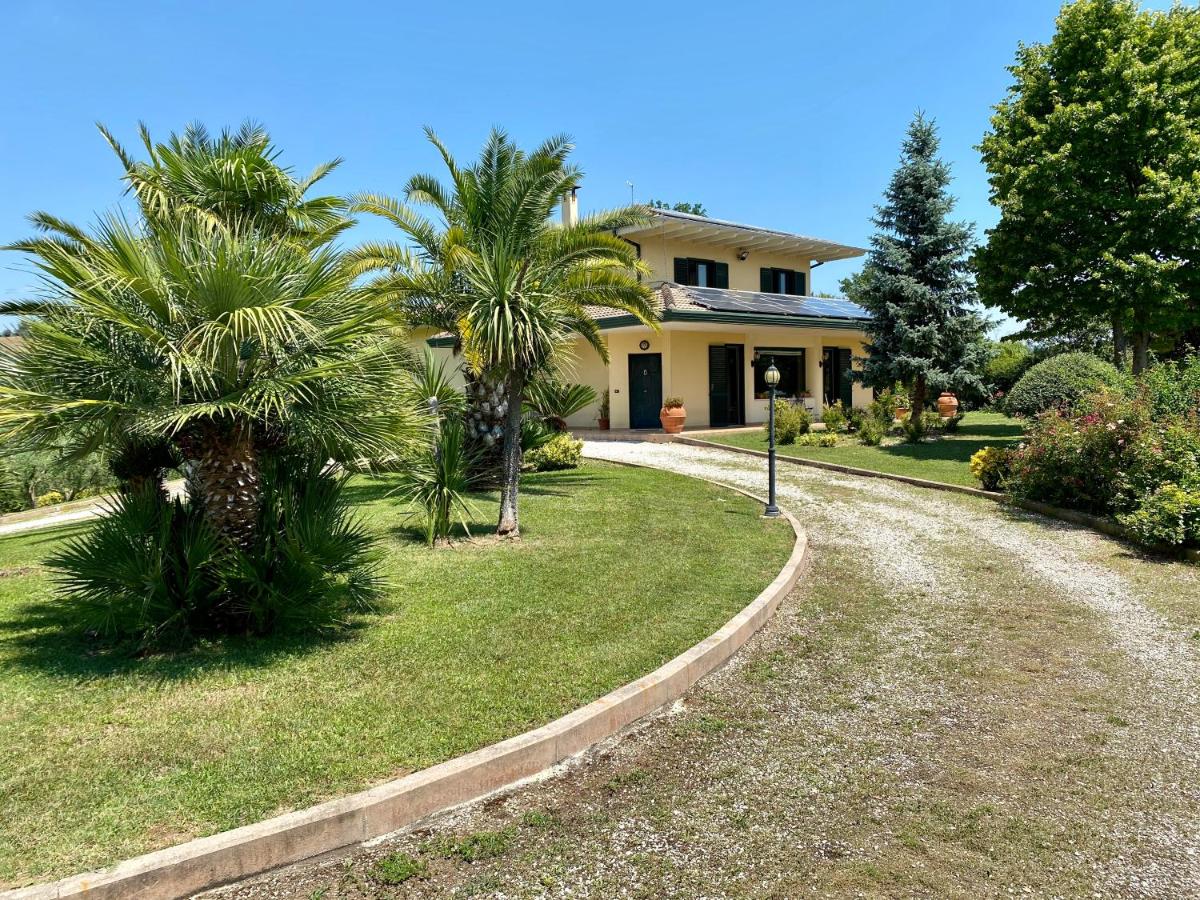 Don Peppino - Housity
