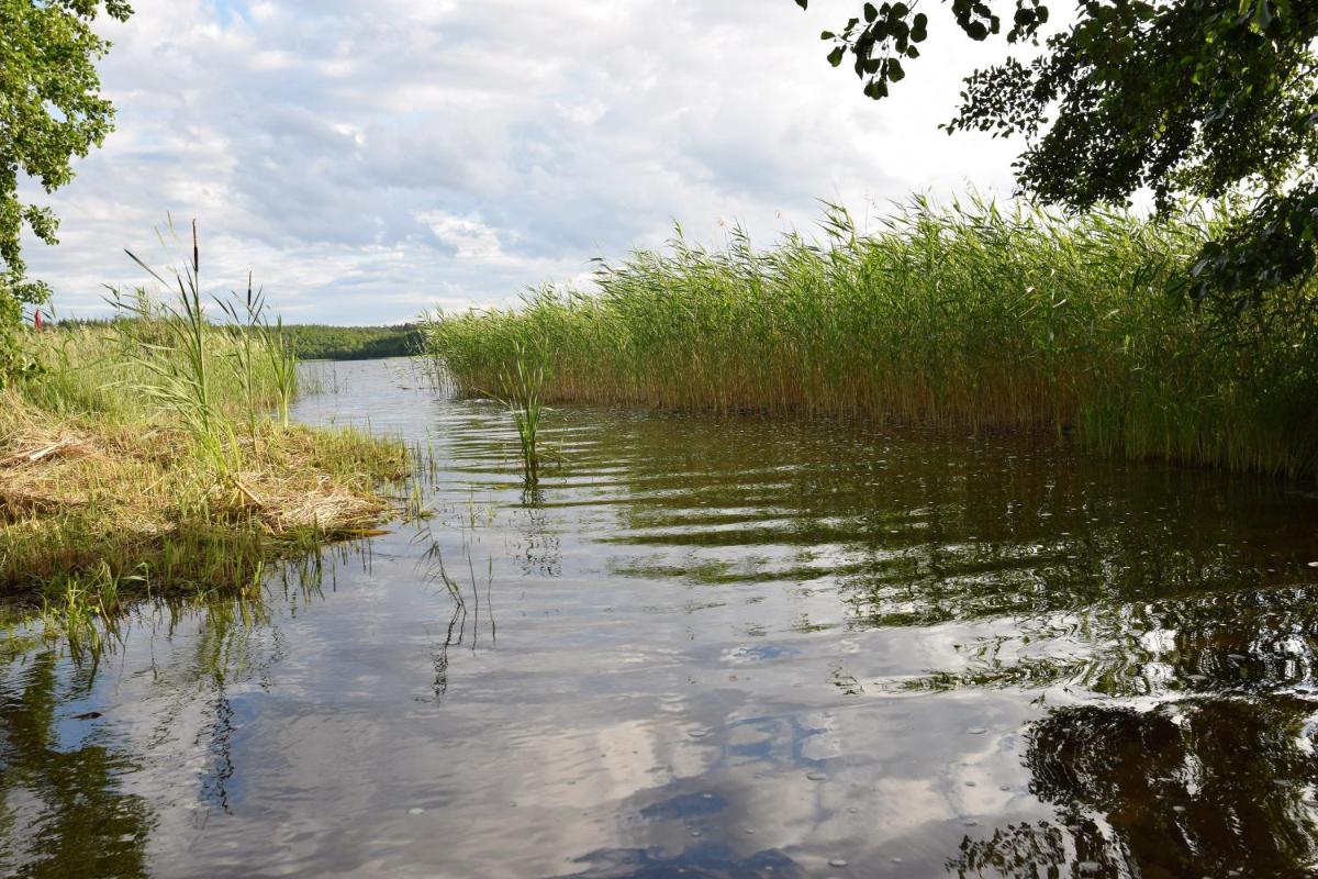 Ferienwohnung am Bossower See - Housity