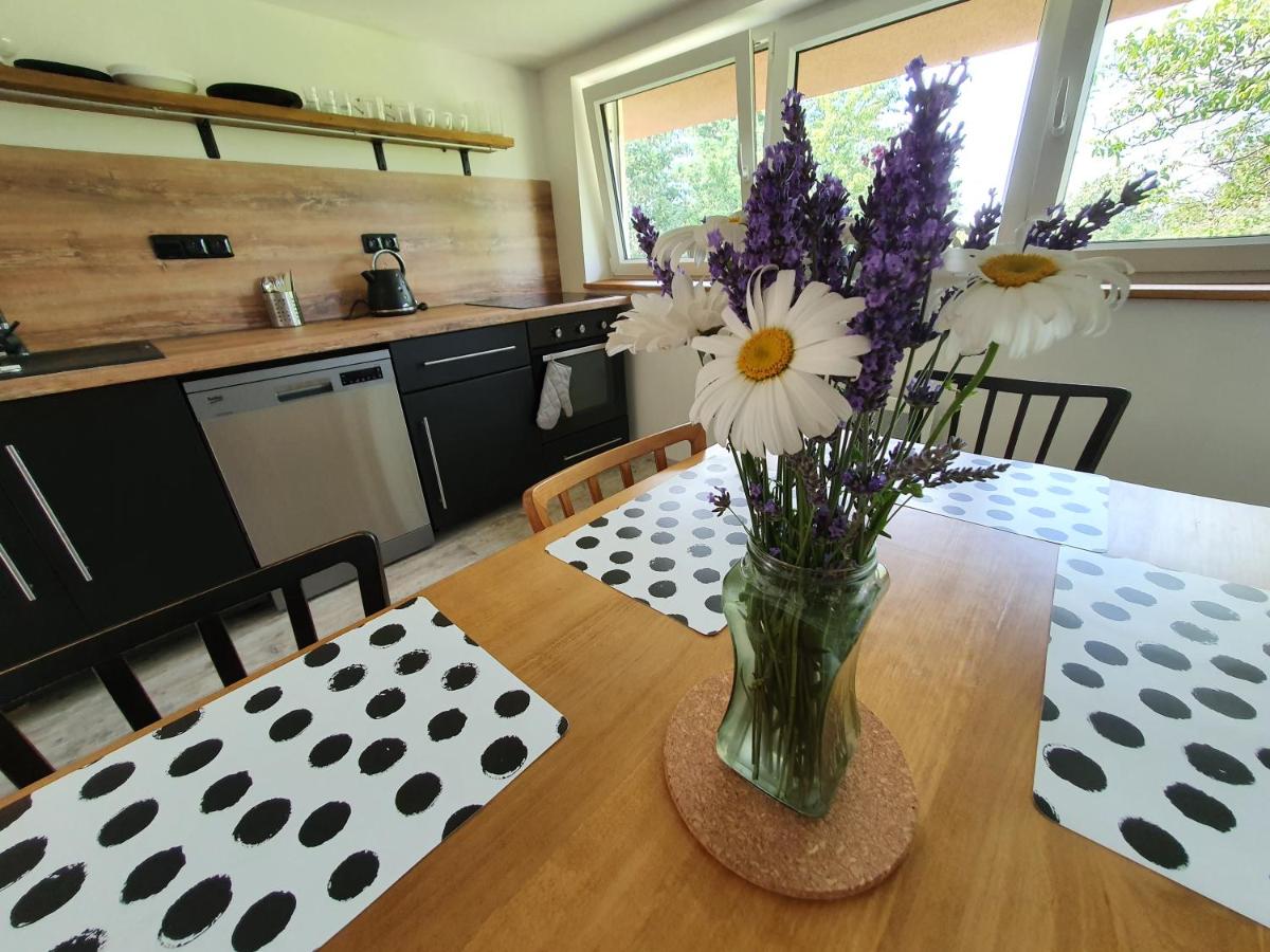Apartmány Svatá - Housity