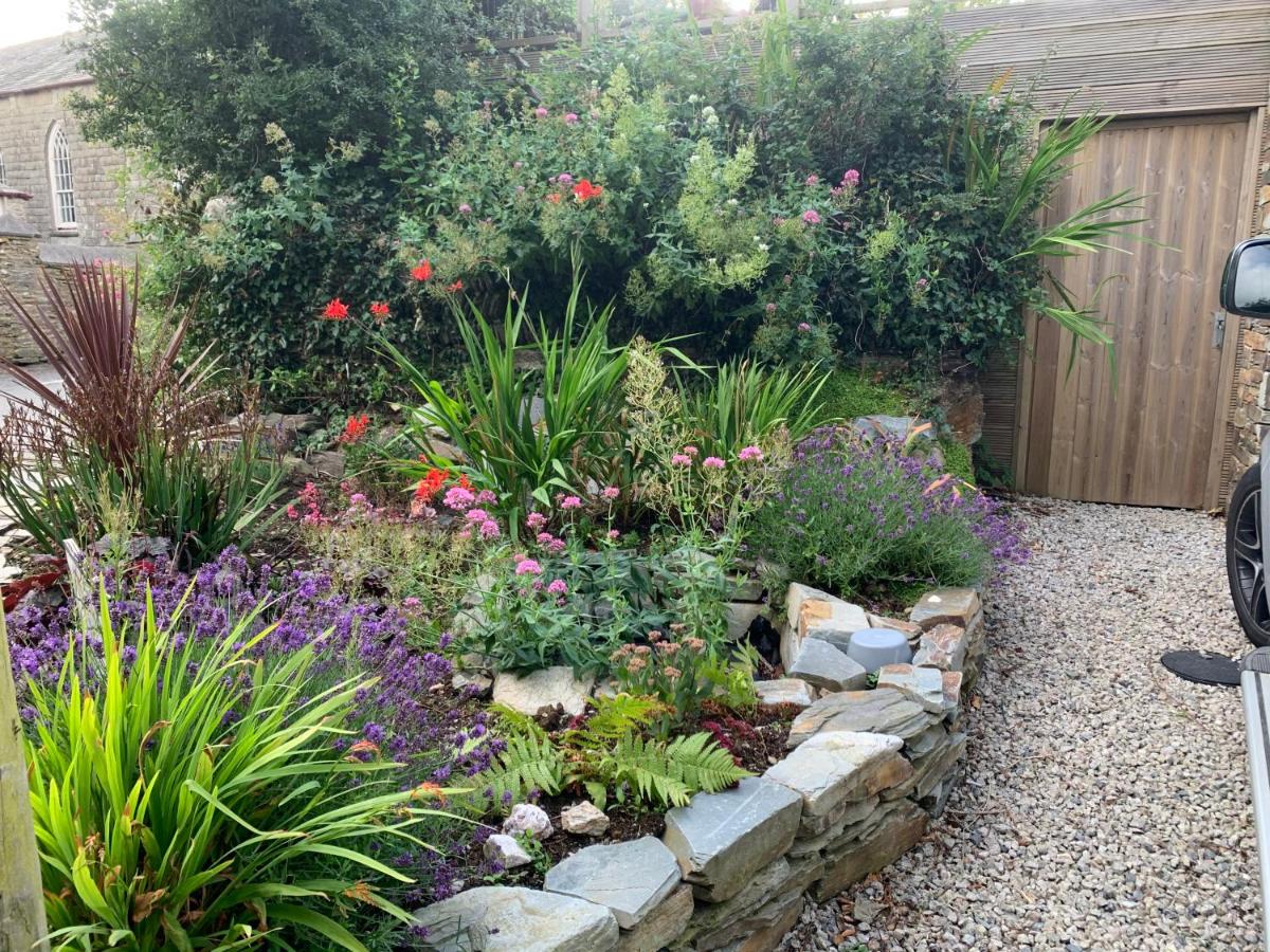 Bossiney Cove Cottage - Housity