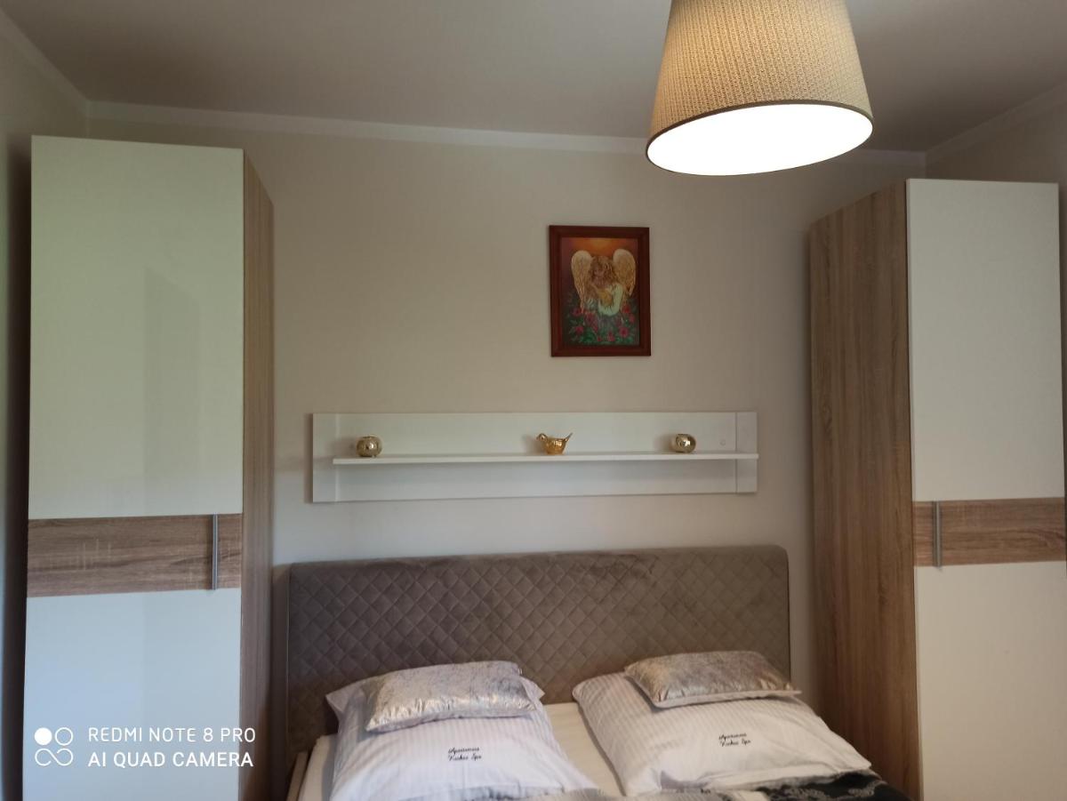 Apartament Krokus SPA - Housity