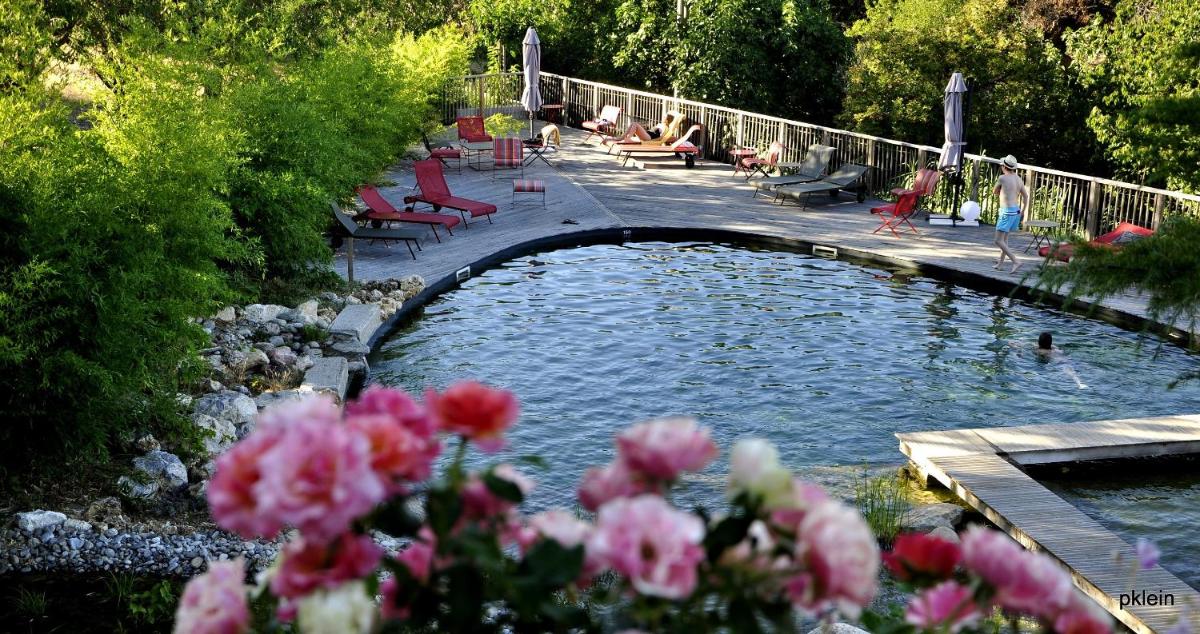 Jardin de l'établissement Domaine Riberach - Hotel 4 - Restaurant gastronomique - Spa - Piscine - Vignoble