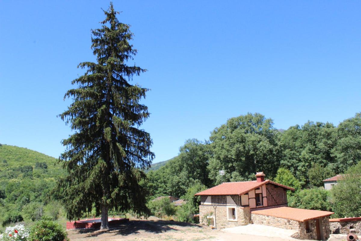 Alojamiento Turístico La alegría de la huerta - Housity