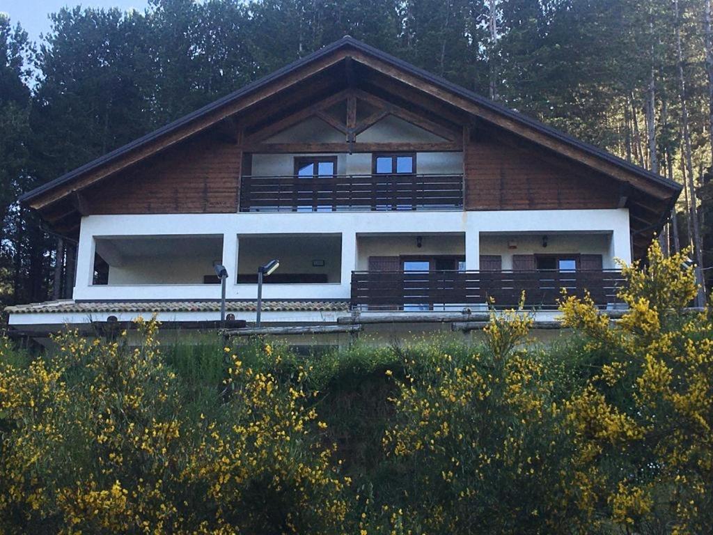 Tra il bosco e il lago - Housity