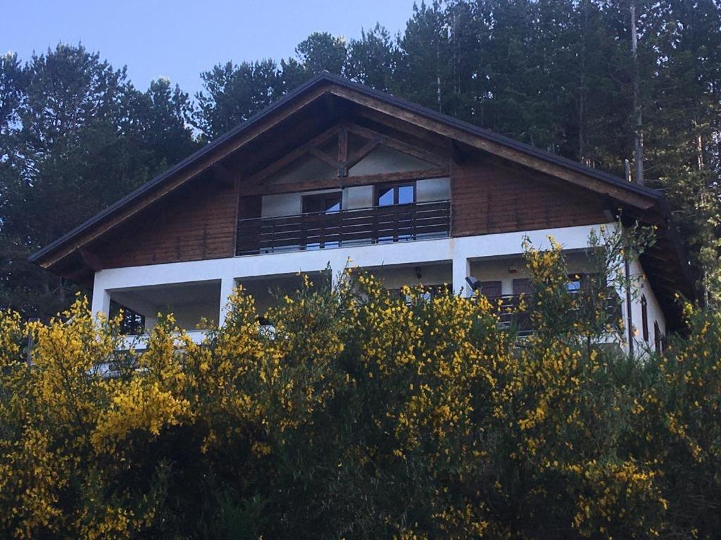 Tra il bosco e il lago - Housity