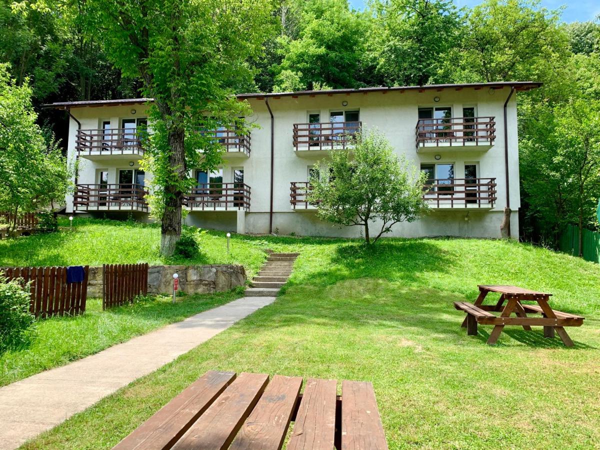 Casa Flori de Sare - Housity