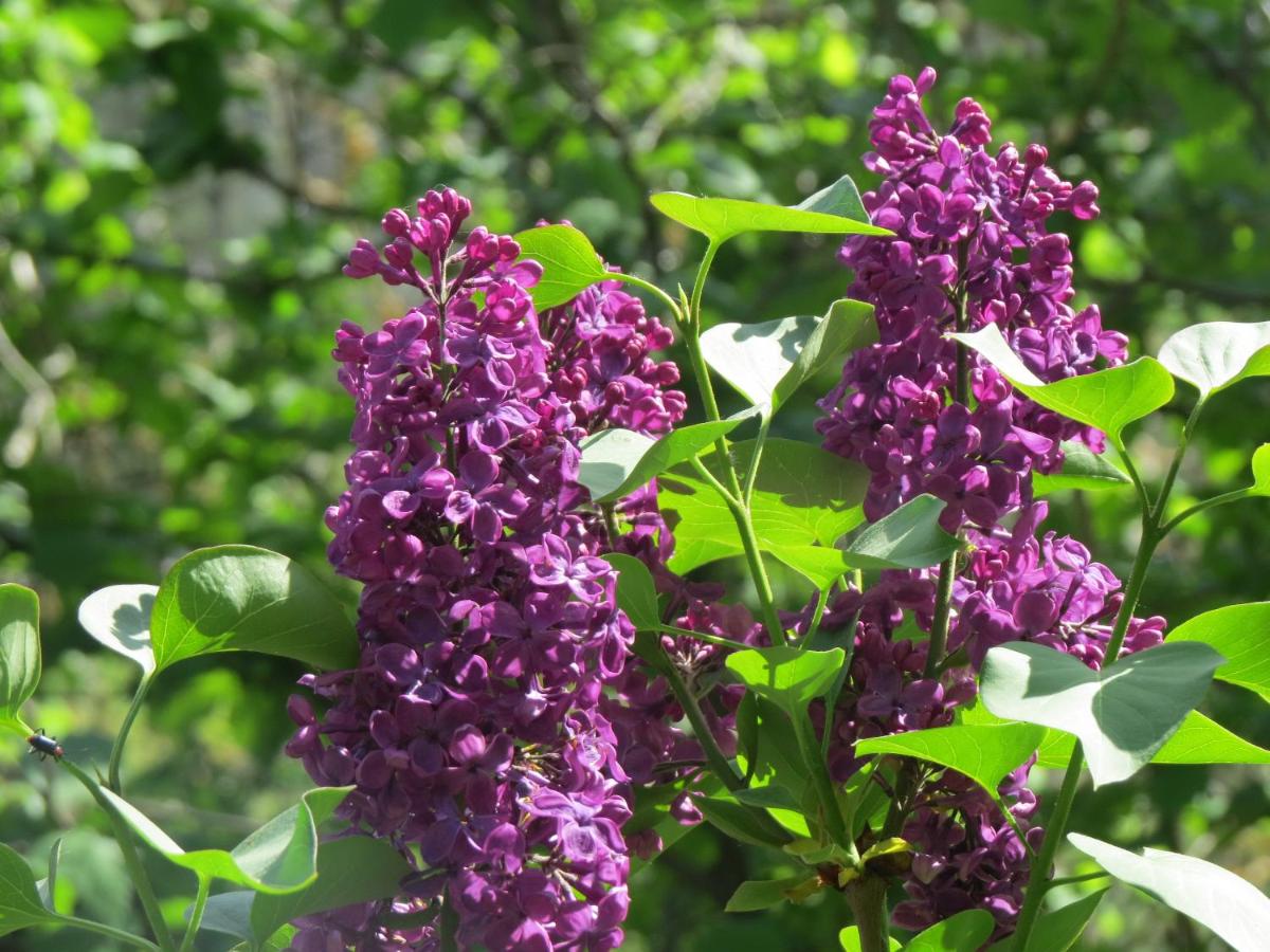 Chez Cécile et Mickaël - Housity