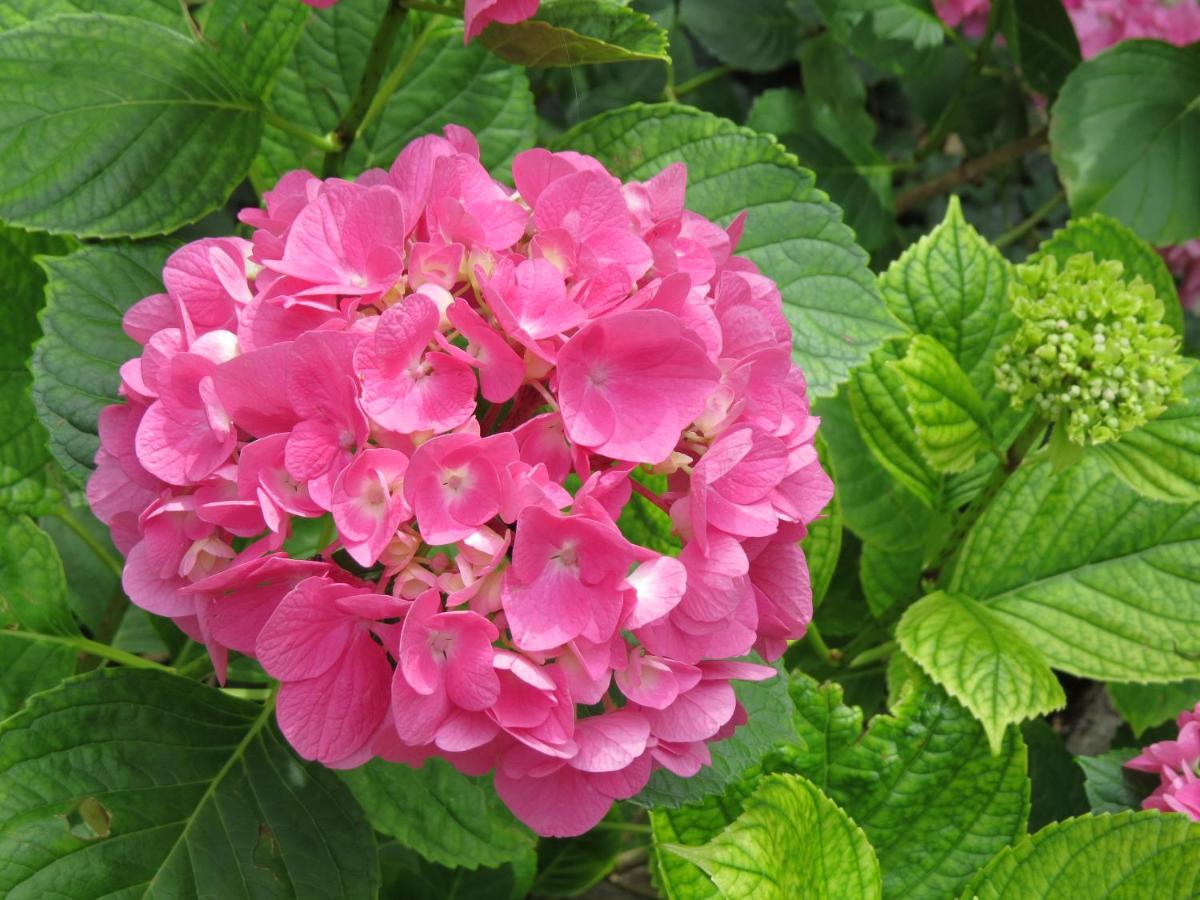 Chez Cécile et Mickaël - Housity